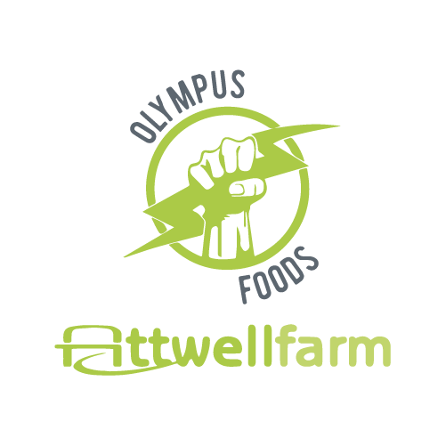 Benefits Oakland International